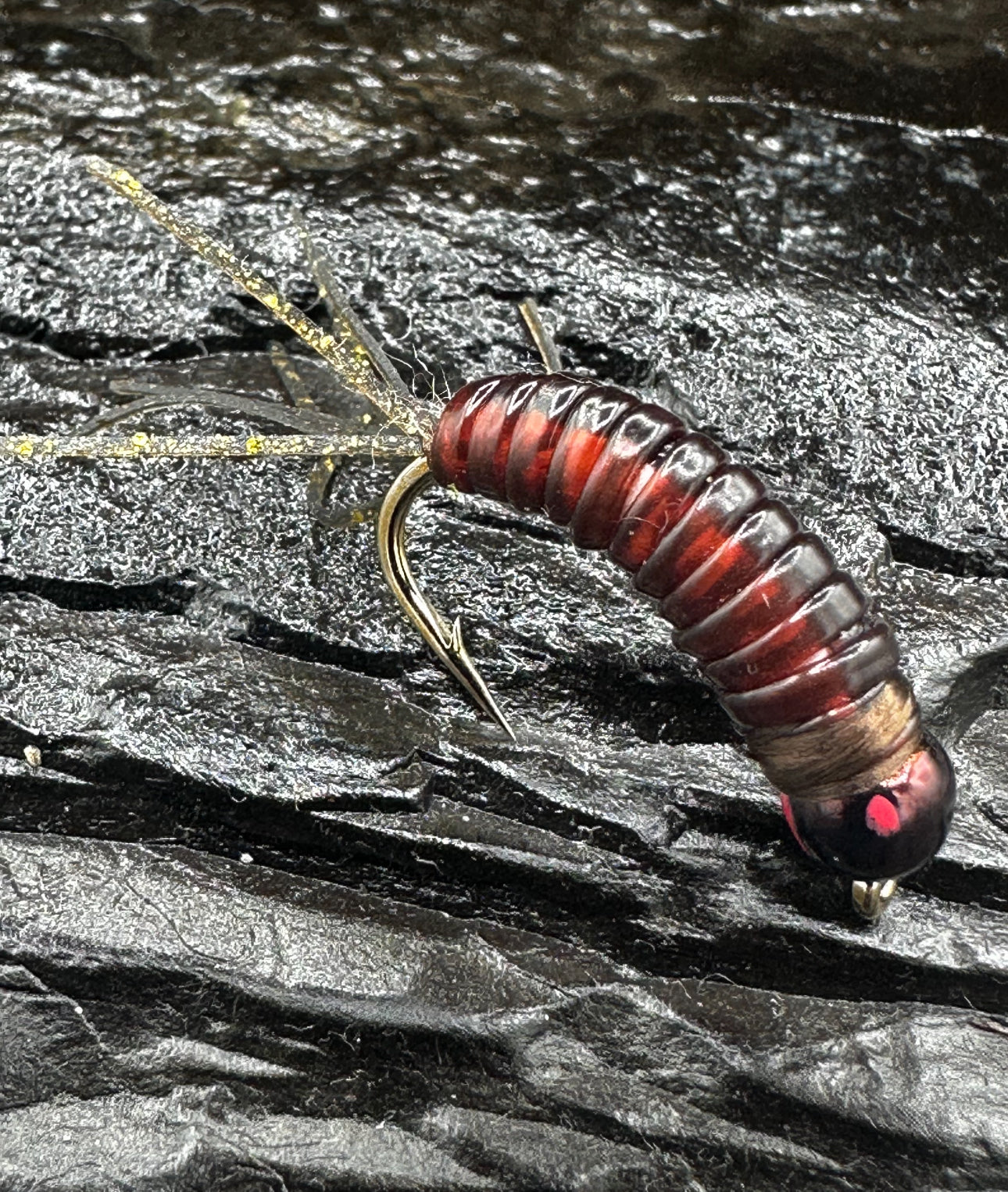 Loony Bin Bugs and grubs!