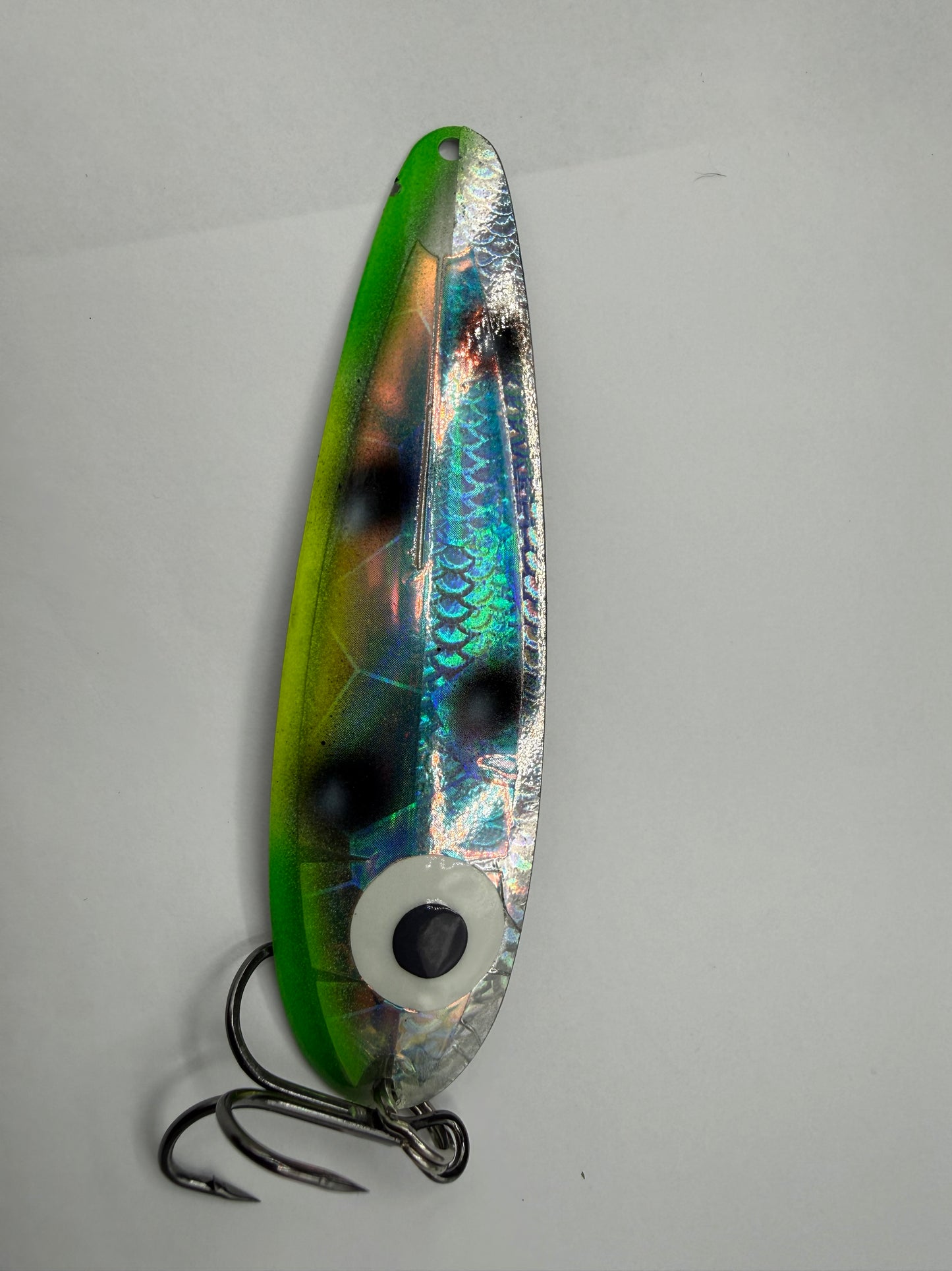 holographic frog