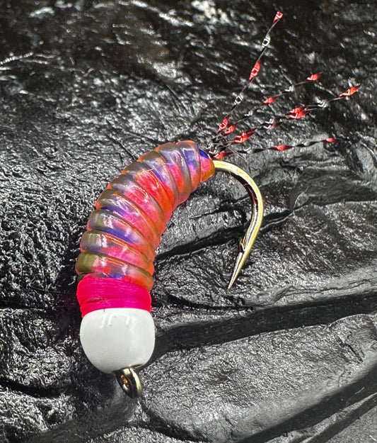 Loony Bin Bugs and grubs STEAMED SHRIMP