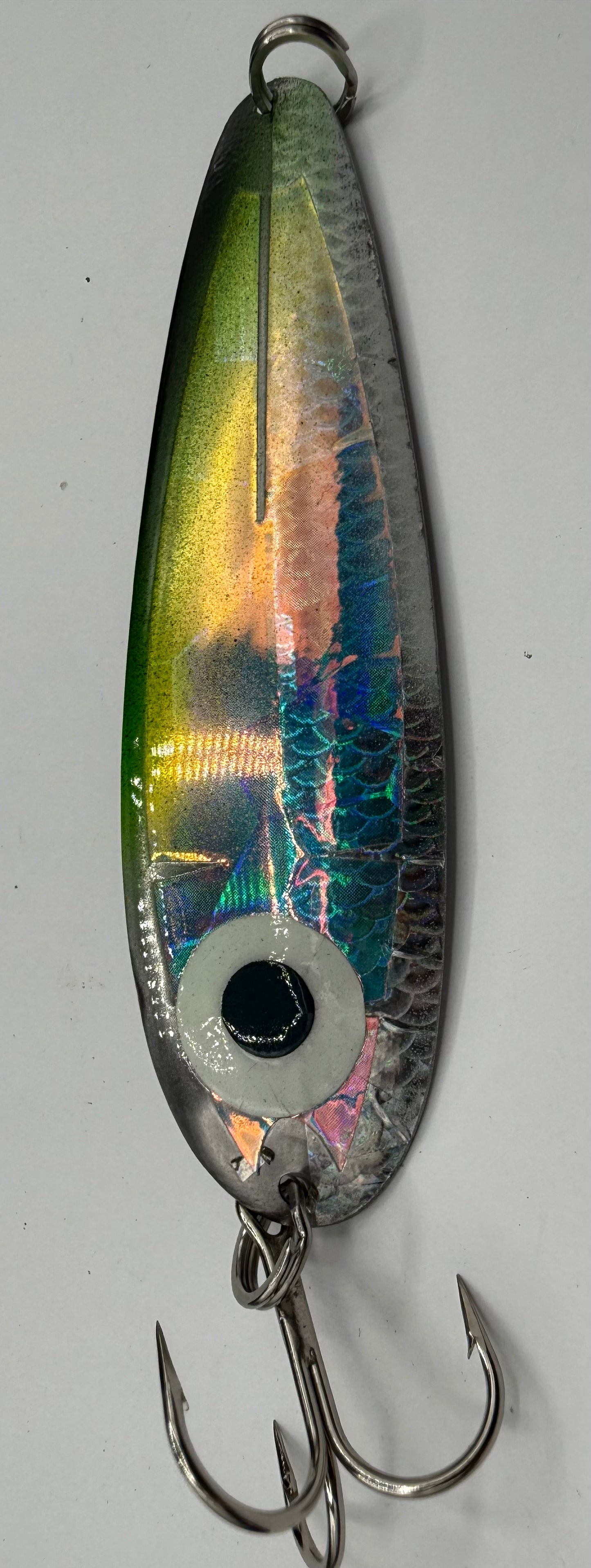 Alewife holographic gator