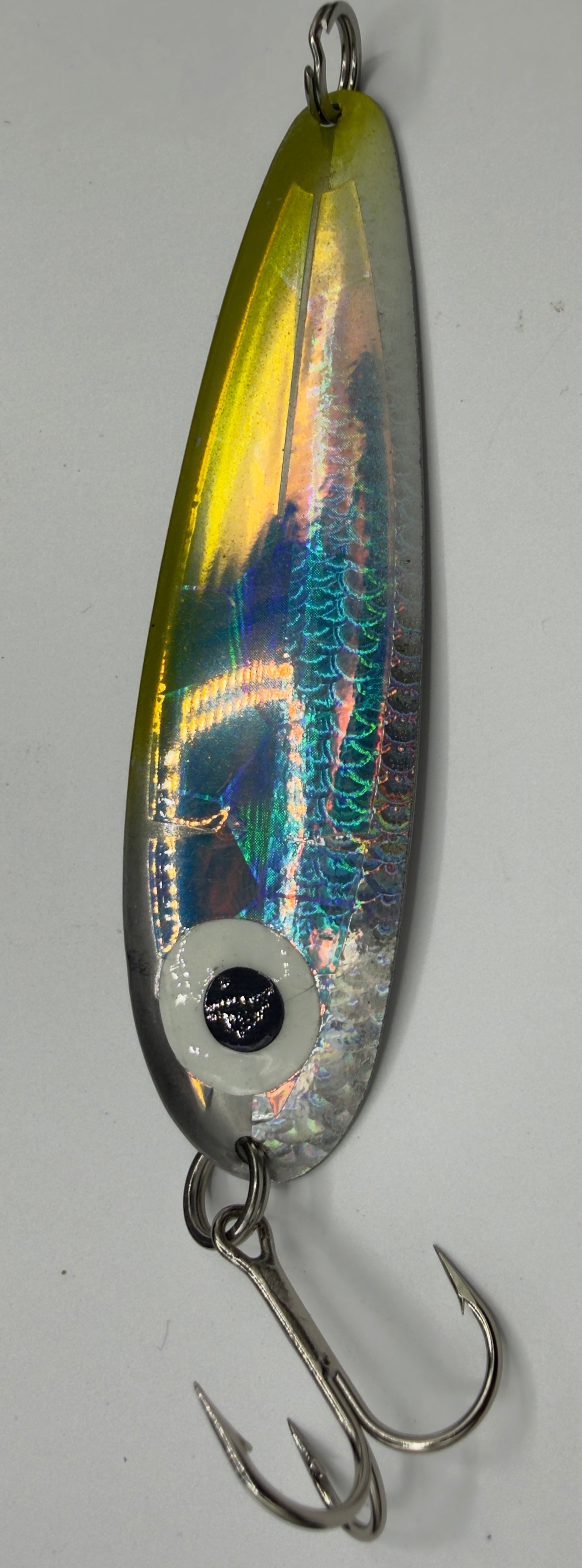 Alewife holographic